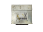 Motorsteuerung 16164389 QJ Opel GM