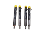 Einspritzdüse Komplett 166000897R H8200827965 1.5 dci Delphi Renault 1516