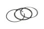 Kolbenringe Für Mercedes-Benz A2760300224 B10367 Borsehung