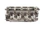 Zylinderkopf 1.9 DCI F9QA260 6660 Nissan Primera P12