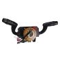 Schalter Blinker Neues Original 735643396 PSA
