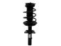 bpad19-jj1036eby