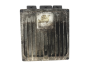 Steuergerät 8200309910 8200331477 R0410C078A Renault Delphi 19907
