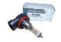 Die Glühbirne H8 Neues Original 7701062187 Renault