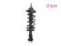 Stoßdämpfer Vorne 543023828R 540100864R 93463333 Renault Trafic 3 2.0 DCI