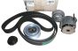 Keilriemenspanner Neues Original 117209243R Renault