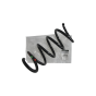 Fahrwerksfeder Vorne Original 540101780R Renault