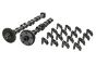 Nockenwelle Set Für VW Audi Seat 06H109021K 06H109022BC B19173 Borsehung