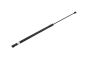 Stellmotor Motorhaube 3T0823359 B14197 Skoda Superb 2 Borsehung