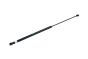 Stellmotor Motorhaube 8P0823359 B18427 Audi A3 Borsehung