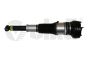 Stoßdämpfer Hinten 4H0616001M 4H0616002M 56160000601 Audi A8 Vika