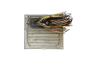 Motorsteuerung 6S61-12A650-FH S120977315H Ford 41779