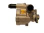Pumpe Für Servolenkung Master II Trafic Laguna 2.0 PV-D021 OE 491102294R
