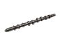 Nockenwelle Für Renault Dacia 8200100527 1.4 1.6 16v 