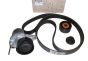 Keilriemenspanner Neues Original 117201627R Renault 1.6 DCI