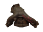 Auspuff-Krümmer Abgaskrümmer 9622259580 0341A7 Citroen Saxo 1.6 16V NFX