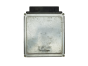 Steuergerät 2M5A-12A650-PD 12220510 R0411C004E Ford Delphi 15458