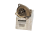 Wasserpumpe Original Renault 210109409R