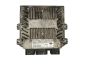 ca52-db14532eby
