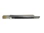 Stoßleiste Für Tür Links Hinten Neues Original 96737751DX Citroen DS5