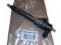 Einspritzdüse Für Renault 0445110375 166091245R Bosch
