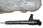 Einspritzdüse Renault 166007427R Qplus