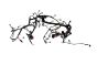 bpad6-mk1079eby
