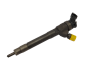 Einspritzdüse Renault 166007885R 0445110546 Bosch