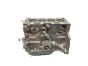 Motorblock Komplett NFT 1.6 8v Peugeot 306 2001r