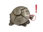 Unterdruckpumpe 8200520476 2.0 DCI Renault Bosch 5169