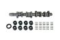 Nockenwelle Komplett 038109101AH B11307 VW Audi Seat Skoda Borsehung