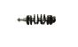 Kurbelwelle 9674164180 1,6 e-hdi 8v Peugeot Citroen Ford
