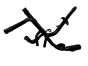 ca29-jj1173eby