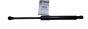 Stellmotor Motorhaube Neues Original 654700283R Renault