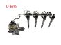 Kraftstoffpumpe und Einspritzdüsen Komplet 0445011500 0445110939 2.0DCI Renault