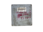 Steuergerät 0261204245 23710 74B15 Nissan Bosch 54123