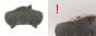 Tacho Kombiinstrument Toyota Celica 83800-2B130 157510-0672 2070