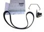 Antriebsriemen Original 117205678R Renault Dacia