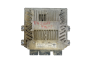 Steuergerät 3S61-12A650-LB 5WS40140D-T SID 804 Ford Siemens 34347