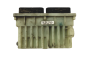 Steuergerät 24462346 15408375 Opel Delphi 16356