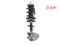 Stoßdämpfer Links 543023135R 400158856R 1.3 TCe Renault Clio 5 GT-Line 0km