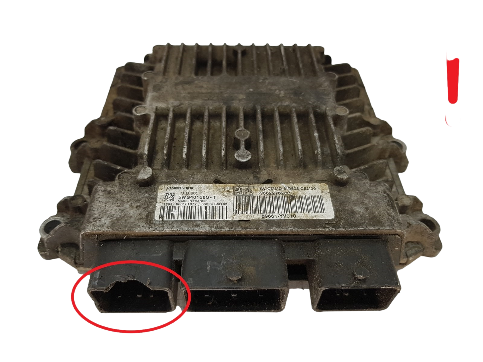main product photo