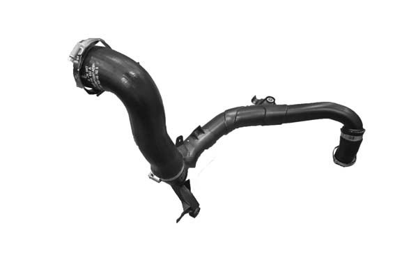 Kühlerschlauch 5Q0145832E B12353 VW Audi Skoda Borsehung main product photo