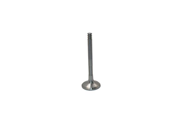 Auslassventil Für VW Audi Seat Skoda 038109611F B19012 Borsehung main product photo