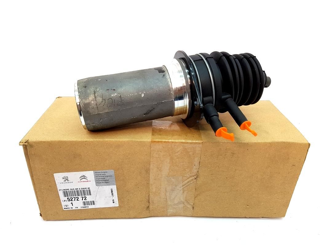 Stoßdämpfer Links Hinten Neues Original Citroen C5 01-07 527272 main product photo