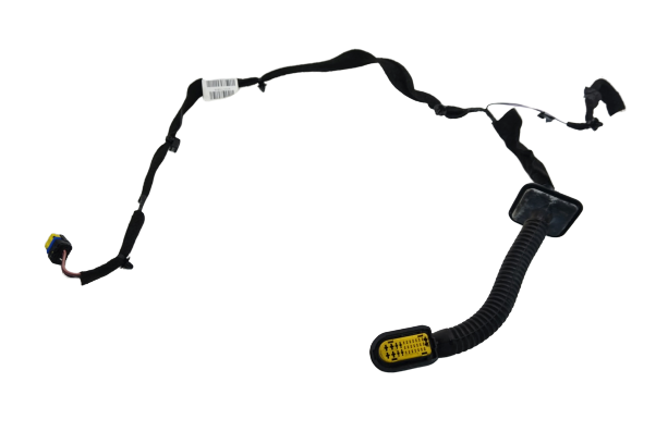 Kabelbaum Türinstallation Links Hinten 8200715808 Renault Clio 3 main product photo