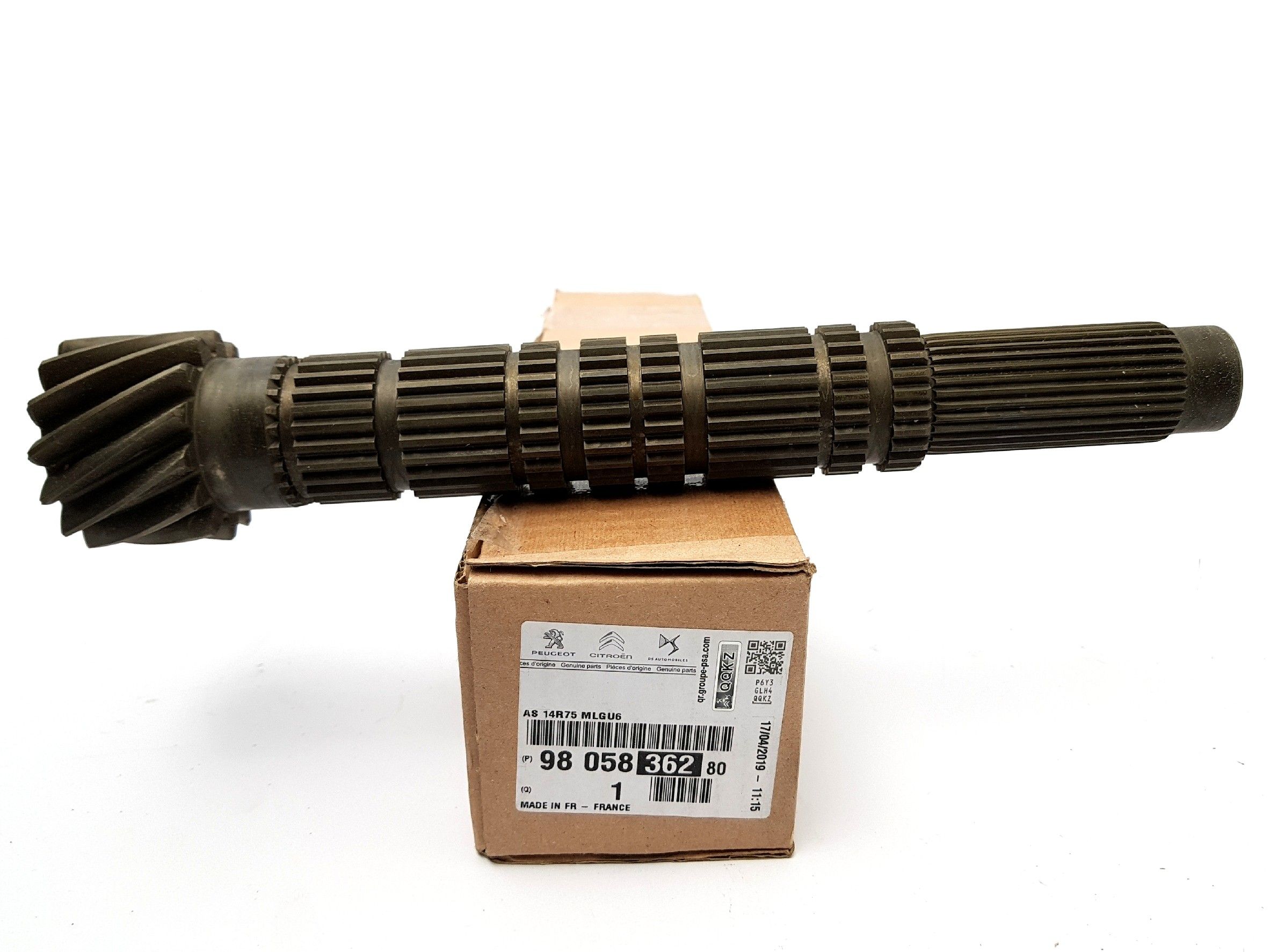 main product photo