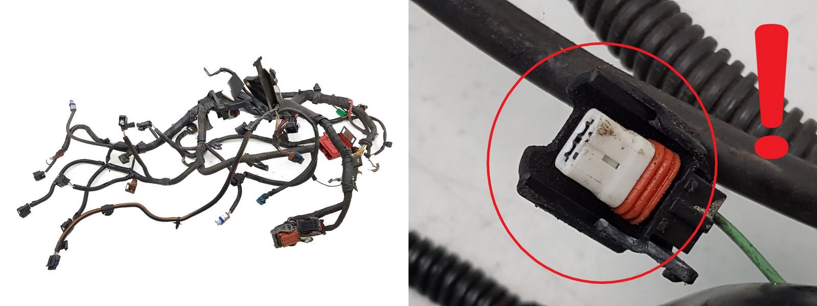 Kabelbaum Motor Motorinstallation 8200483130-B 1.6 16v K4M800 Renault Clio 3 main product photo