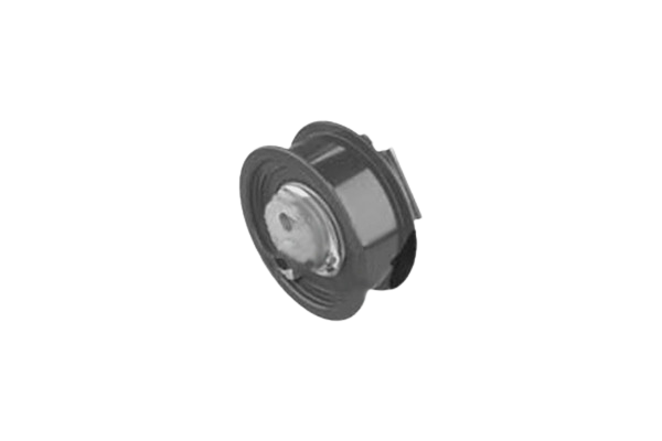 Spannrolle Für VW Audi Seat Skoda 06D109243B 11090246601 Vika main product photo