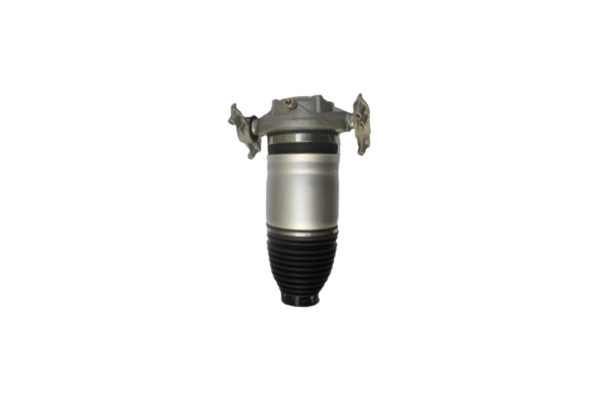 Stoßdämpfer Hinten Rechts Für VW Touareg 7P6616020G 46160002201 Vika main product photo